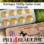 Kamagra 100Mg Gelée Orale Sildénafil 41